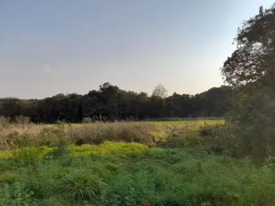 Fazenda/Sítio à venda, 98069m² no Campo de Santana, Curitiba