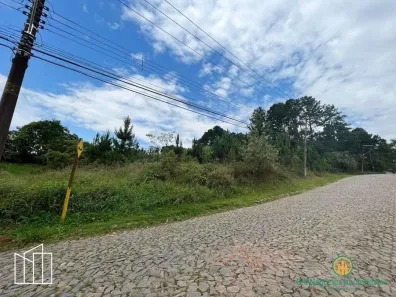 Lote/Terreno à venda, 4973m² no Paisagem Renoir, Cotia