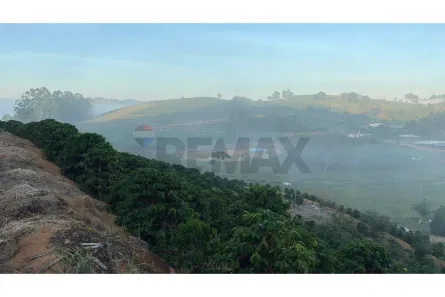 Fazenda/Sítio à venda, 16000m² no , Divino de São Lourenço