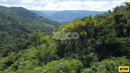 Lote/Terreno à venda, 5000m² no Pousada da neve, Nova Petrópolis
