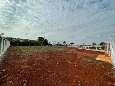 Lote/Terreno para alugar, 4268m² no Parque das Oliveiras, Ribeirão Preto