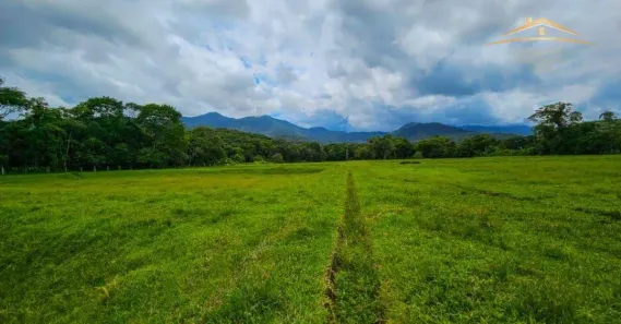 Fazenda/Sítio com 1 Quarto à venda, 461200m² no , Paranaguá