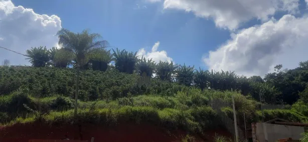 Fazenda/Sítio com 2 Quartos à venda, 80m² no Parque do Convento, Guaxupé