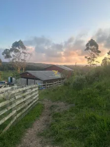 Fazenda/Sítio à venda, 33000m² no Rancho Queimado, Rancho Queimado