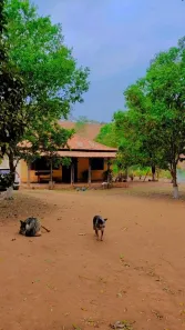 Fazenda/Sítio à venda, 125070m² no , Urucânia