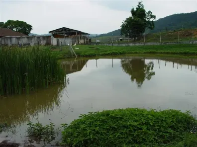 Fazenda/Sítio com 2 Quartos à venda, 20000m² no , Piracaia