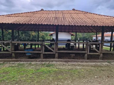 Fazenda/Sítio com 4 Quartos à venda, 200000m² no Papucaia, Cachoeiras de Macacu