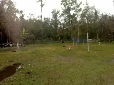 Fazenda/Sítio com 4 Quartos à venda, 100m² no Parque Balneario Comodoro, Mongaguá