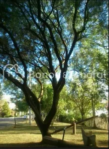 Lote/Terreno à venda, 875m² no Caminhos de San Conrado (Sousas), Campinas