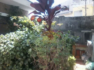 Casa com 3 Quartos à venda, 172m² no Parque Jabaquara, São Paulo