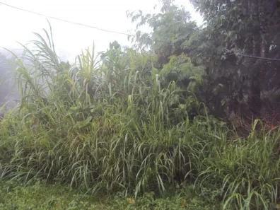 Lote/Terreno à venda, 300m² no Santa Inês, Caieiras