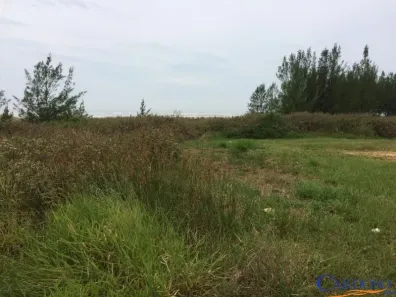 Lote/Terreno à venda, 900m² no Rondinha Nova, Arroio do Sal