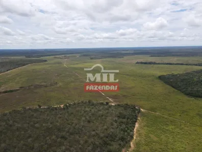 Fazenda/Sítio à venda, 500m² no , Pedro Afonso