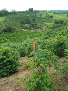 Fazenda/Sítio à venda, 217800m² no Ouro Fino, Ouro Fino