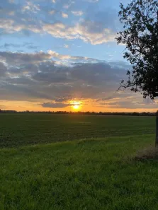 Fazenda/Sítio à venda, 500m² no Cercado, Araçoiaba da Serra