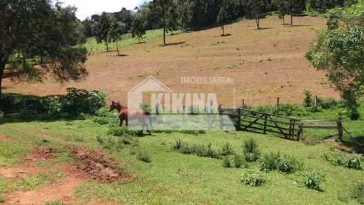 Fazenda/Sítio à venda, 193000m² no Socavão, Castro