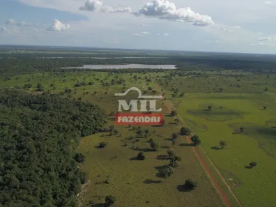 Fazenda/Sítio à venda, 500m² no , Cocalinho