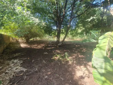 Lote/Terreno à venda, 1638m² no Jardim Florestan Fernandes, Ribeirão Preto