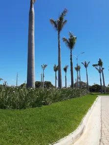 Lote/Terreno à venda, 300m² no João de Castro, Aquiraz