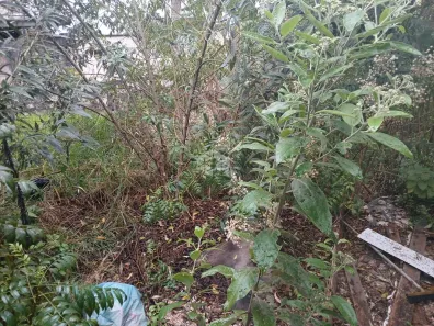 Lote/Terreno à venda, 250m² no Parque Mandaqui, São Paulo