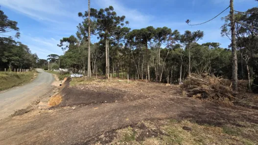 Lote/Terreno à venda, 2500m² no Campo Alegre, Campo Alegre