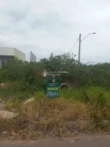 Lote/Terreno à venda, 140m² no Centro Novo, Eldorado do Sul