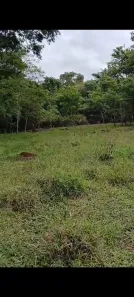 Fazenda/Sítio à venda, 246840m² no , Corumbá de Goiás