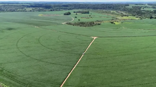 Fazenda/Sítio à venda, 3993m² no Vila Leme, Paranapanema