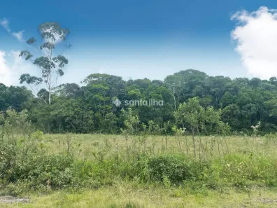 Lote/Terreno à venda, 468m² no Itacorubi, Florianópolis
