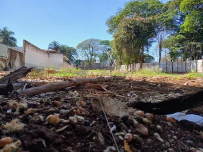 Lote/Terreno para alugar, 1600m² no Jardim Planalto, Campinas
