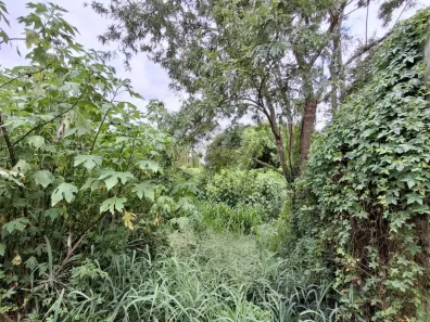 Lote/Terreno à venda, 1188m² no Jardim Recreio, Ribeirão Preto
