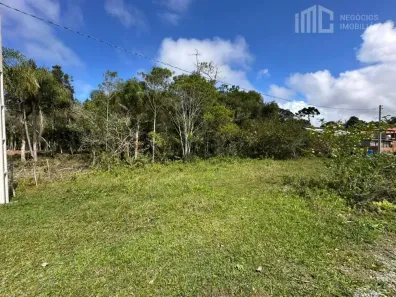 Fazenda/Sítio à venda, 750m² no Pinheiros, Balneário Barra do Sul