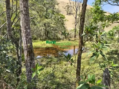 Fazenda/Sítio com 2 Quartos à venda, 84700m² no Centro, Cruzeiro