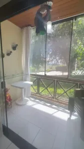 Apartamento com 1 Quarto à venda, 36m² no , Sairé