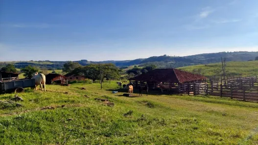Fazenda/Sítio com 3 Quartos à venda, 4948900m² no Área Rural de Marília, Marília