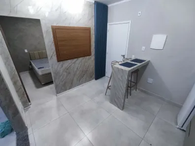 Apartamento com 1 Quarto para alugar, 35m² no Vila Mariza Mazzei, São Paulo