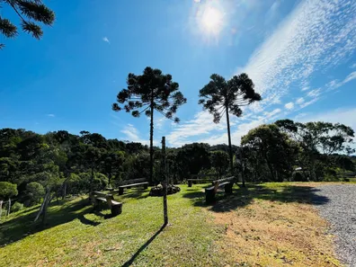 Lote/Terreno à venda, 100000m² no Centro, Campo Alegre