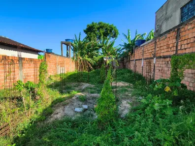 Lote/Terreno à venda, 260m² no Novo Aleixo, Manaus