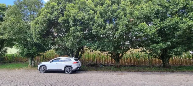 Lote/Terreno à venda, 365m² no São Luiz, Caxias do Sul