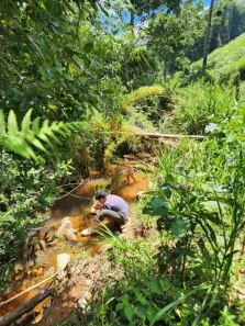 Lote/Terreno com 1 Quarto à venda, 120m² no Camanducaia, Camanducaia