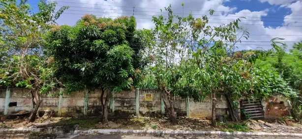 Lote/Terreno à venda, 600m² no Vila Monticelli, Goiânia