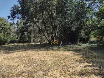 Lote/Terreno à venda, 27500m² no Sítio Recreio dos Cafezais, Valinhos