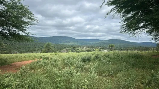 Lote/Terreno à venda, 17384m² no , Boa Vista do Tupim
