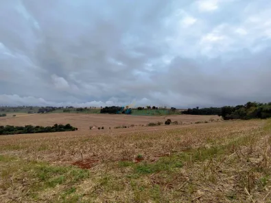 Fazenda/Sítio à venda, 350m² no Cascavel Velho, Cascavel