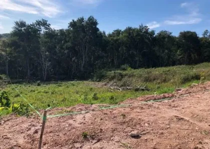 Lote/Terreno à venda, 1036m² no Ouro Fino, Santa Isabel