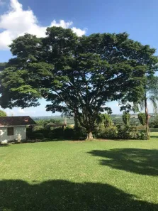 Casa com 1 Quarto à venda, 310m² no Jardim Santa Maria II, Campinas