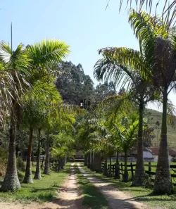 Fazenda/Sítio com 9 Quartos à venda, 3170000m² no Zona Rural, Rio Preto