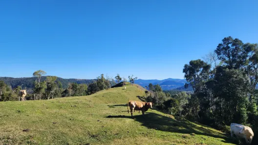 Fazenda/Sítio à venda, 30000m² no , Rio Rufino