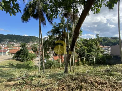 Lote/Terreno à venda, 1159m² no Tribess, Blumenau