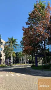 Sala Comercial para alugar, 210m² no Jardim Morumbi, São Paulo
